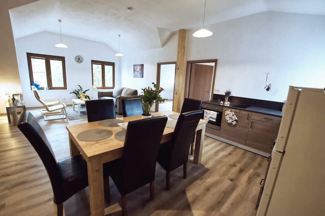 "U Capa" Krasny Apartman V Sedleci سيدليك المظهر الخارجي الصورة